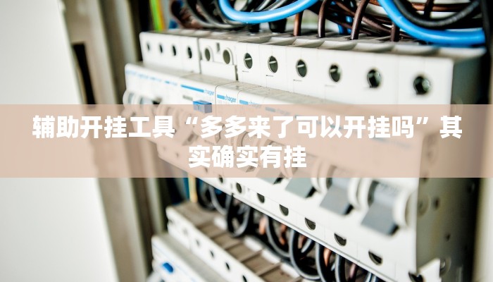 辅助开挂工具“多多来了可以开挂吗”其实确实有挂