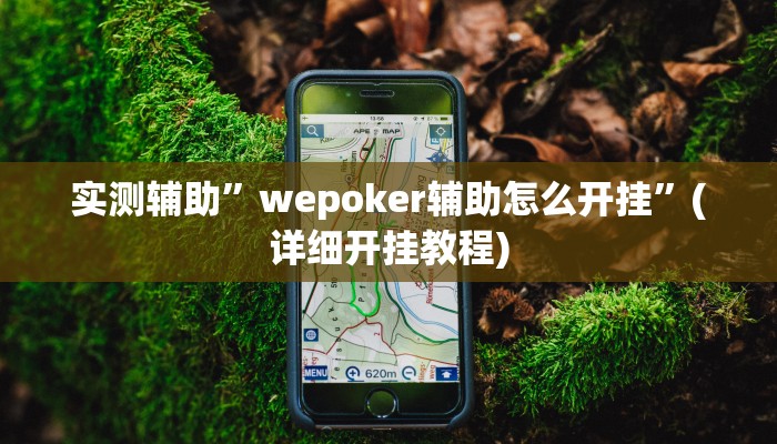实测辅助”wepoker辅助怎么开挂”(详细开挂教程)