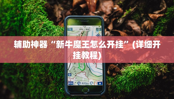 辅助神器“新牛魔王怎么开挂”(详细开挂教程)