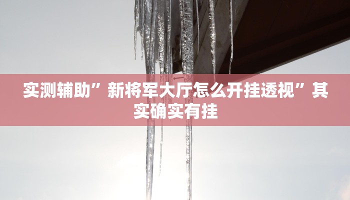 实测辅助”新将军大厅怎么开挂透视”其实确实有挂