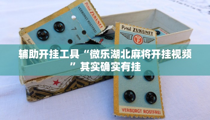 辅助开挂工具“微乐湖北麻将开挂视频”其实确实有挂