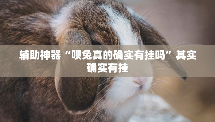 辅助神器“呗兔真的确实有挂吗”其实确实有挂