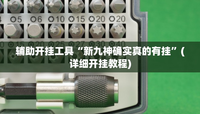辅助开挂工具“新九神确实真的有挂”(详细开挂教程)
