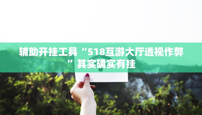 辅助开挂工具“518互游大厅透视作弊”其实确实有挂