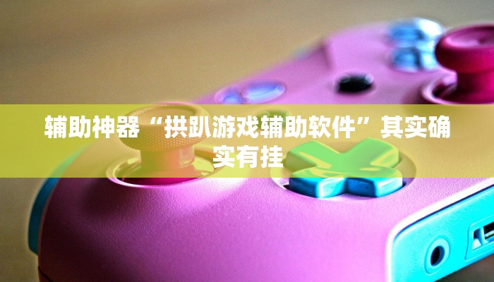 辅助神器“拱趴游戏辅助软件”其实确实有挂