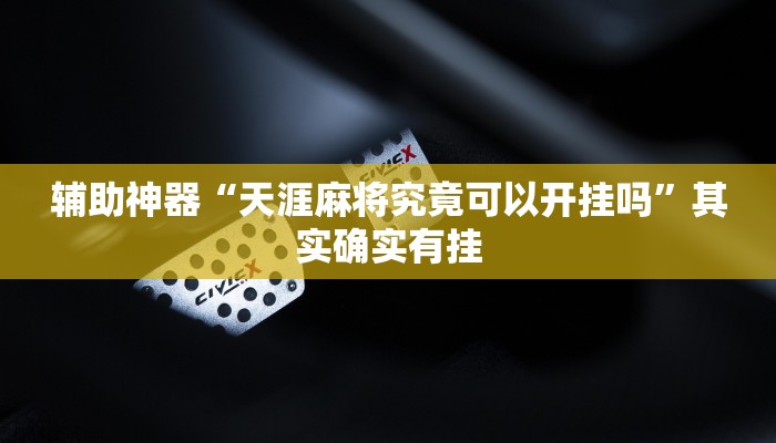 辅助神器“天涯麻将究竟可以开挂吗”其实确实有挂