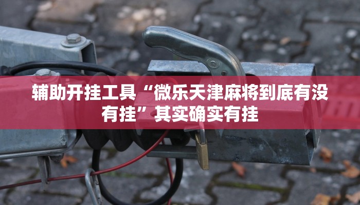 辅助开挂工具“微乐天津麻将到底有没有挂”其实确实有挂