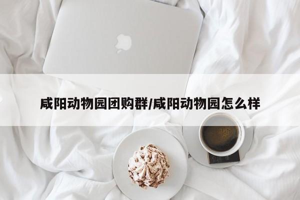 辅助神器“多乐跑得快开挂怎么使用的”其实确实有挂