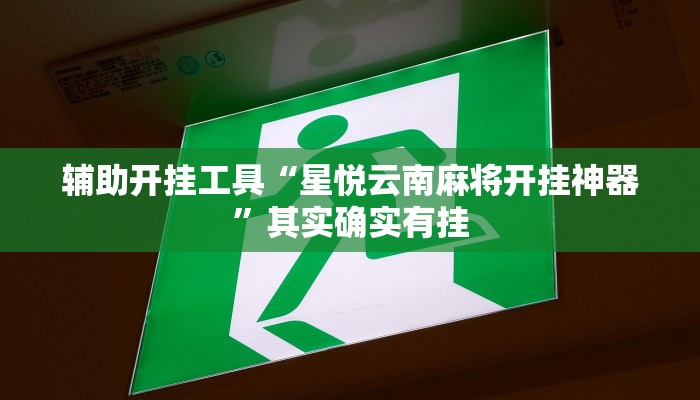 辅助开挂工具“星悦云南麻将开挂神器”其实确实有挂