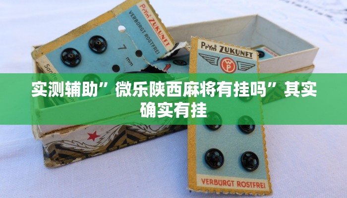 实测辅助”微乐陕西麻将有挂吗”其实确实有挂