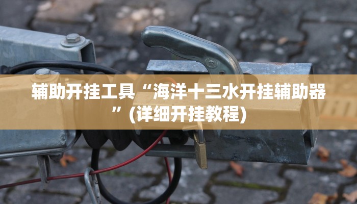 辅助开挂工具“海洋十三水开挂辅助器”(详细开挂教程)