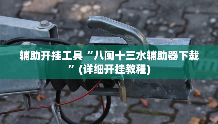 辅助开挂工具“八闽十三水辅助器下载”(详细开挂教程)