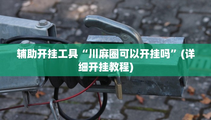 辅助开挂工具“川麻圈可以开挂吗”(详细开挂教程)