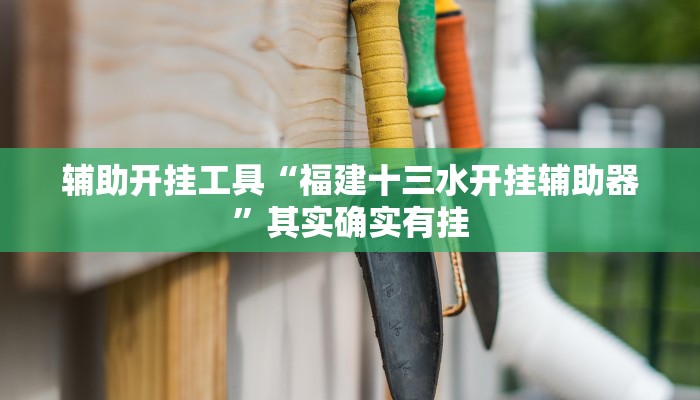 辅助开挂工具“福建十三水开挂辅助器”其实确实有挂