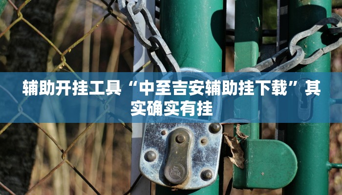 辅助开挂工具“中至吉安辅助挂下载”其实确实有挂