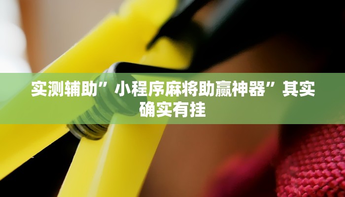 实测辅助”小程序麻将助赢神器”其实确实有挂