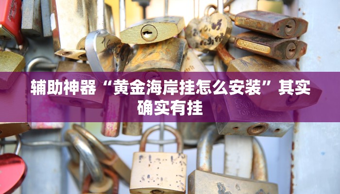 辅助神器“黄金海岸挂怎么安装”其实确实有挂