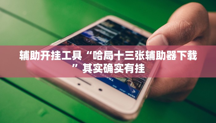 辅助开挂工具“哈局十三张辅助器下载”其实确实有挂