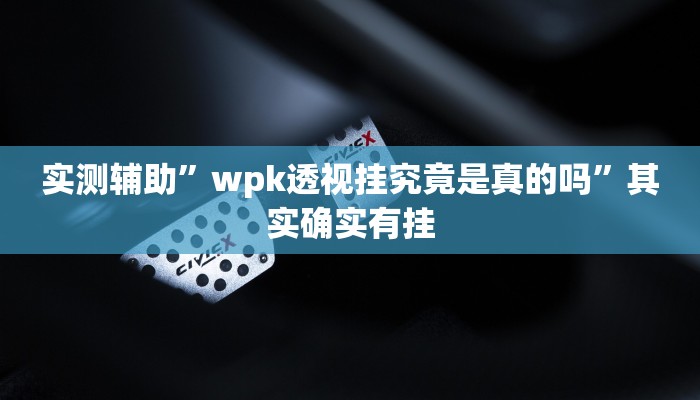 实测辅助”wpk透视挂究竟是真的吗”其实确实有挂