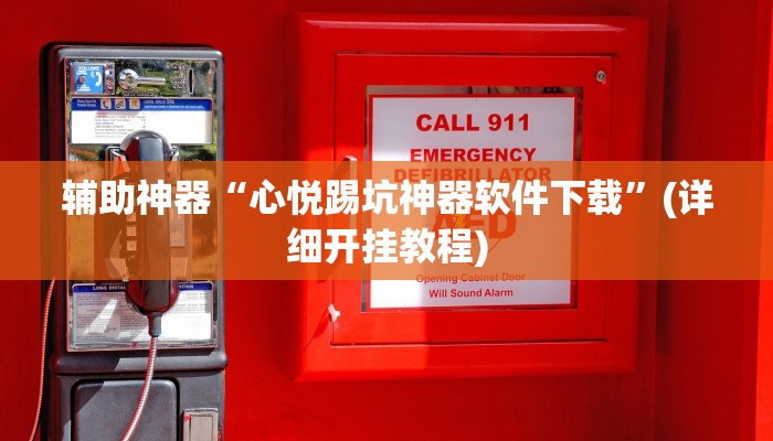 辅助神器“心悦踢坑神器软件下载”(详细开挂教程)