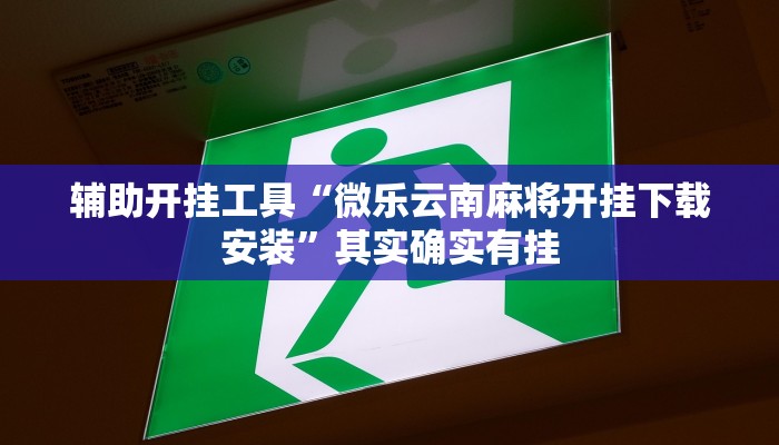 辅助开挂工具“微乐云南麻将开挂下载安装”其实确实有挂