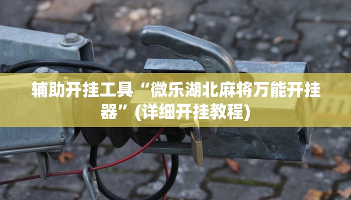 辅助开挂工具“微乐湖北麻将万能开挂器”(详细开挂教程)