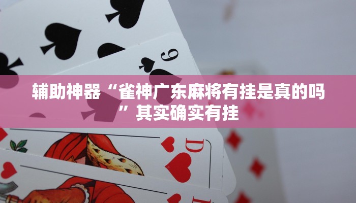辅助神器“雀神广东麻将有挂是真的吗”其实确实有挂