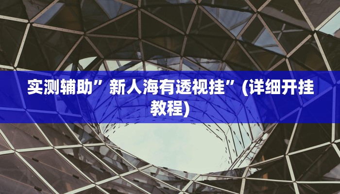 实测辅助”新人海有透视挂”(详细开挂教程)