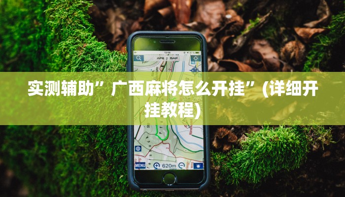 实测辅助”广西麻将怎么开挂”(详细开挂教程)