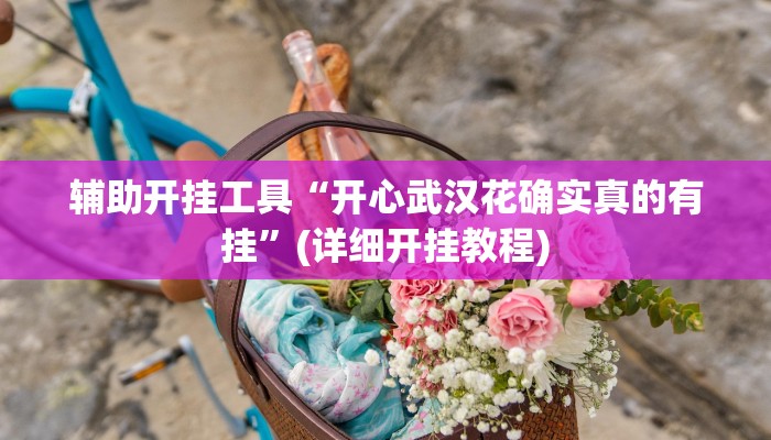 辅助开挂工具“开心武汉花确实真的有挂”(详细开挂教程)