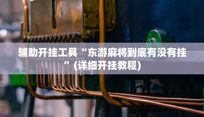 辅助开挂工具“东游麻将到底有没有挂”(详细开挂教程)