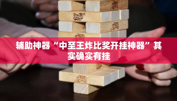 辅助神器“中至王炸比奖开挂神器”其实确实有挂