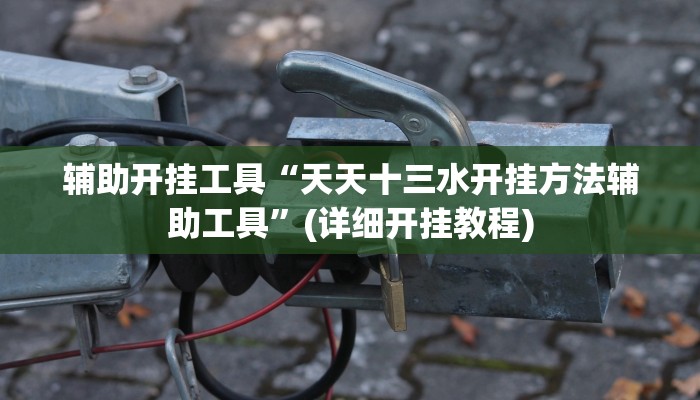 辅助开挂工具“天天十三水开挂方法辅助工具”(详细开挂教程)