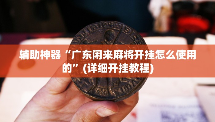 辅助神器“广东闲来麻将开挂怎么使用的”(详细开挂教程)