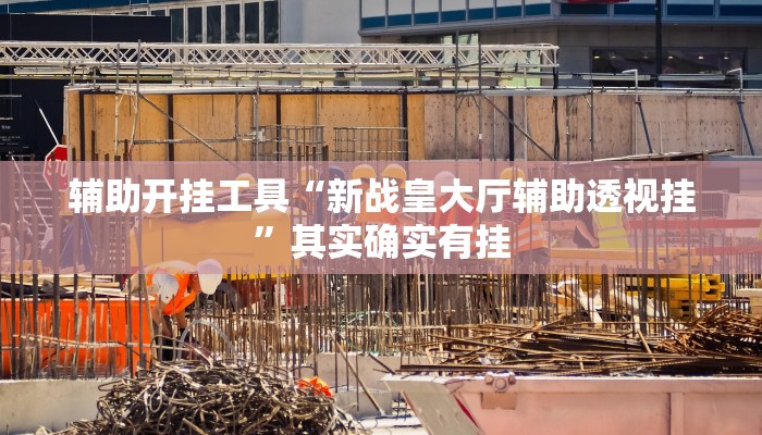 辅助开挂工具“新战皇大厅辅助透视挂”其实确实有挂
