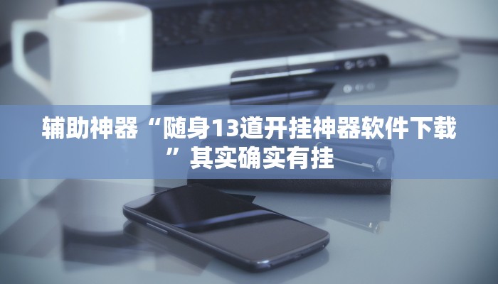 辅助神器“随身13道开挂神器软件下载”其实确实有挂