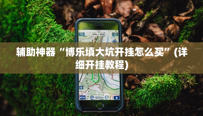 辅助神器“博乐填大坑开挂怎么买”(详细开挂教程)
