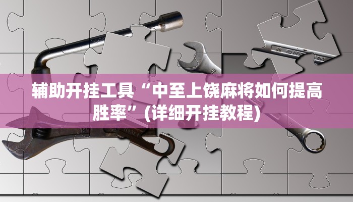 辅助开挂工具“中至上饶麻将如何提高胜率”(详细开挂教程)