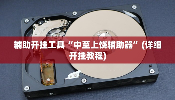 辅助开挂工具“中至上饶辅助器”(详细开挂教程)
