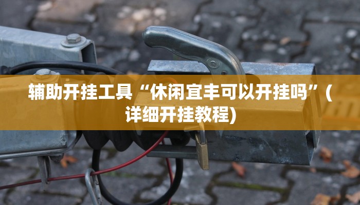 辅助开挂工具“休闲宜丰可以开挂吗”(详细开挂教程)