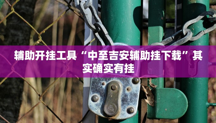 辅助开挂工具“中至吉安辅助挂下载”其实确实有挂