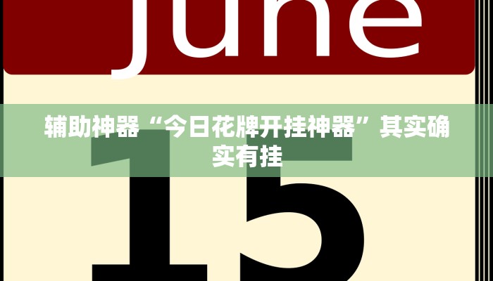 辅助神器“今日花牌开挂神器”其实确实有挂