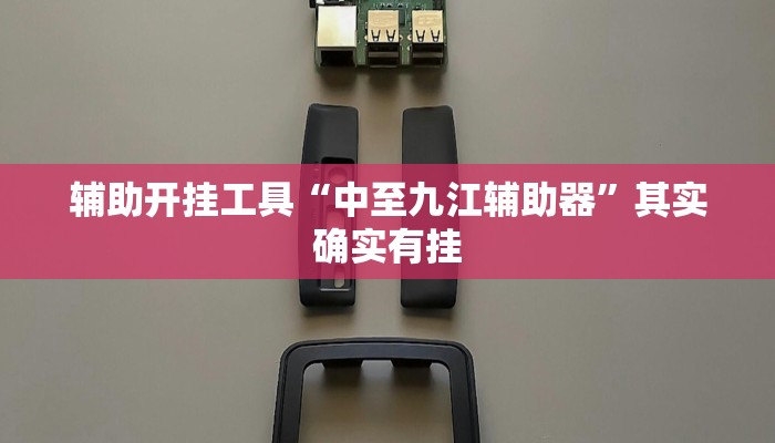 辅助开挂工具“中至九江辅助器”其实确实有挂