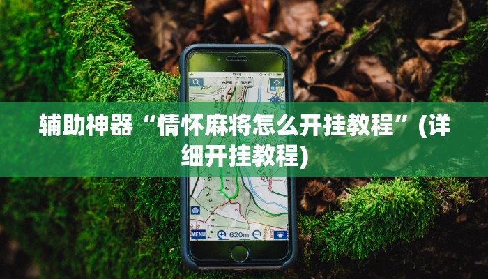 辅助神器“情怀麻将怎么开挂教程”(详细开挂教程)