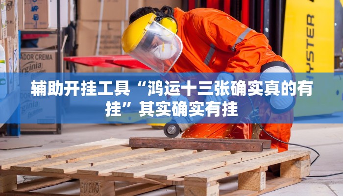 辅助开挂工具“鸿运十三张确实真的有挂”其实确实有挂