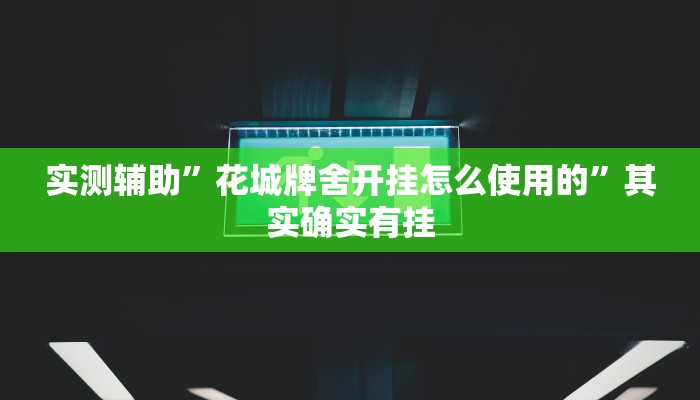 实测辅助”花城牌舍开挂怎么使用的”其实确实有挂