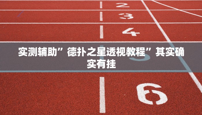 实测辅助”德扑之星透视教程”其实确实有挂