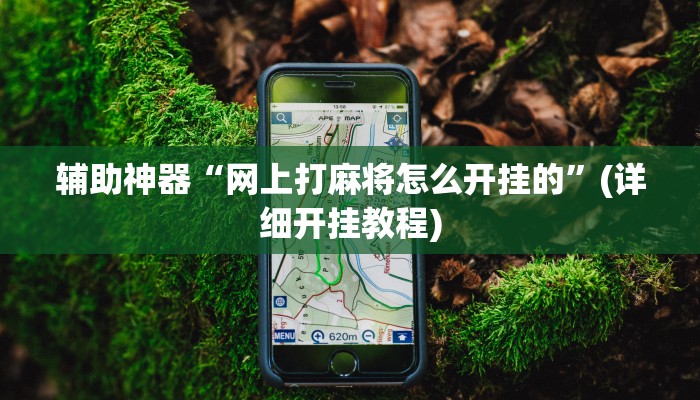 辅助神器“网上打麻将怎么开挂的”(详细开挂教程)
