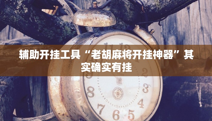 辅助开挂工具“老胡麻将开挂神器”其实确实有挂