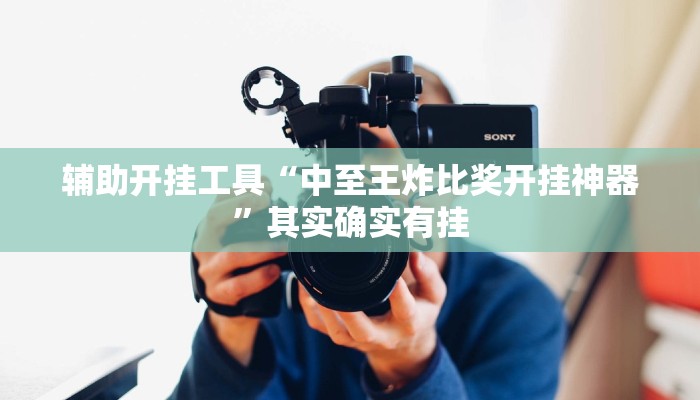 辅助开挂工具“中至王炸比奖开挂神器”其实确实有挂